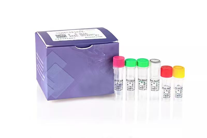 Body Fluid Identification RT-PCR DNA Kit