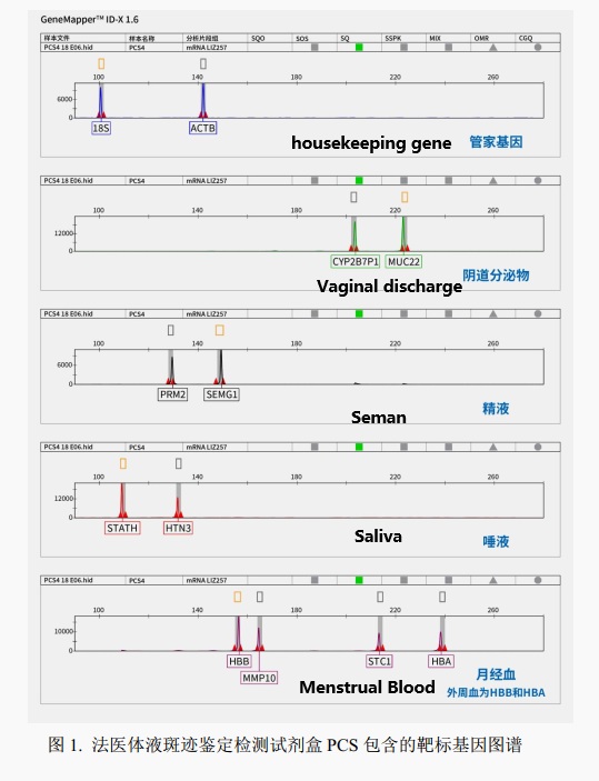 DNA RNA Co Extraction Kit