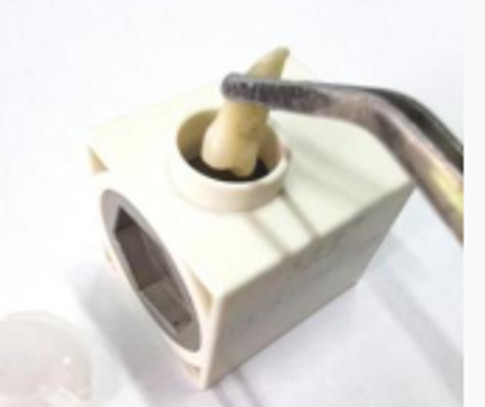 Disposable Grinding Chamber