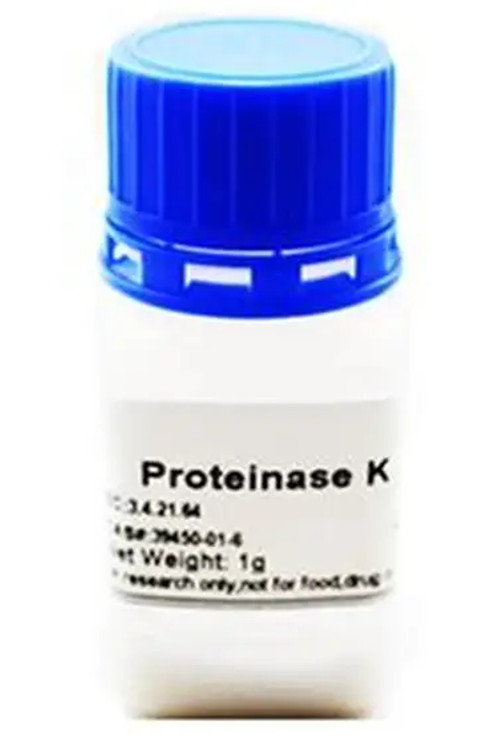 Forensic Proteinase K (front)