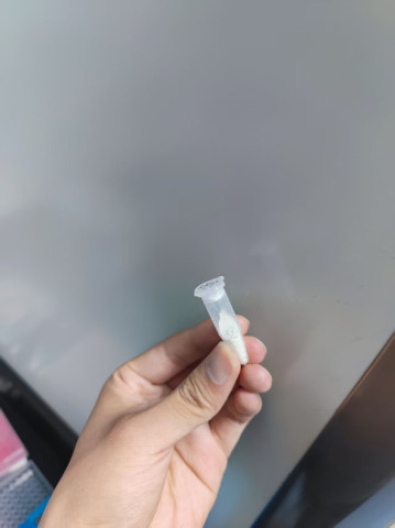 Teeth grinder workflow step 11