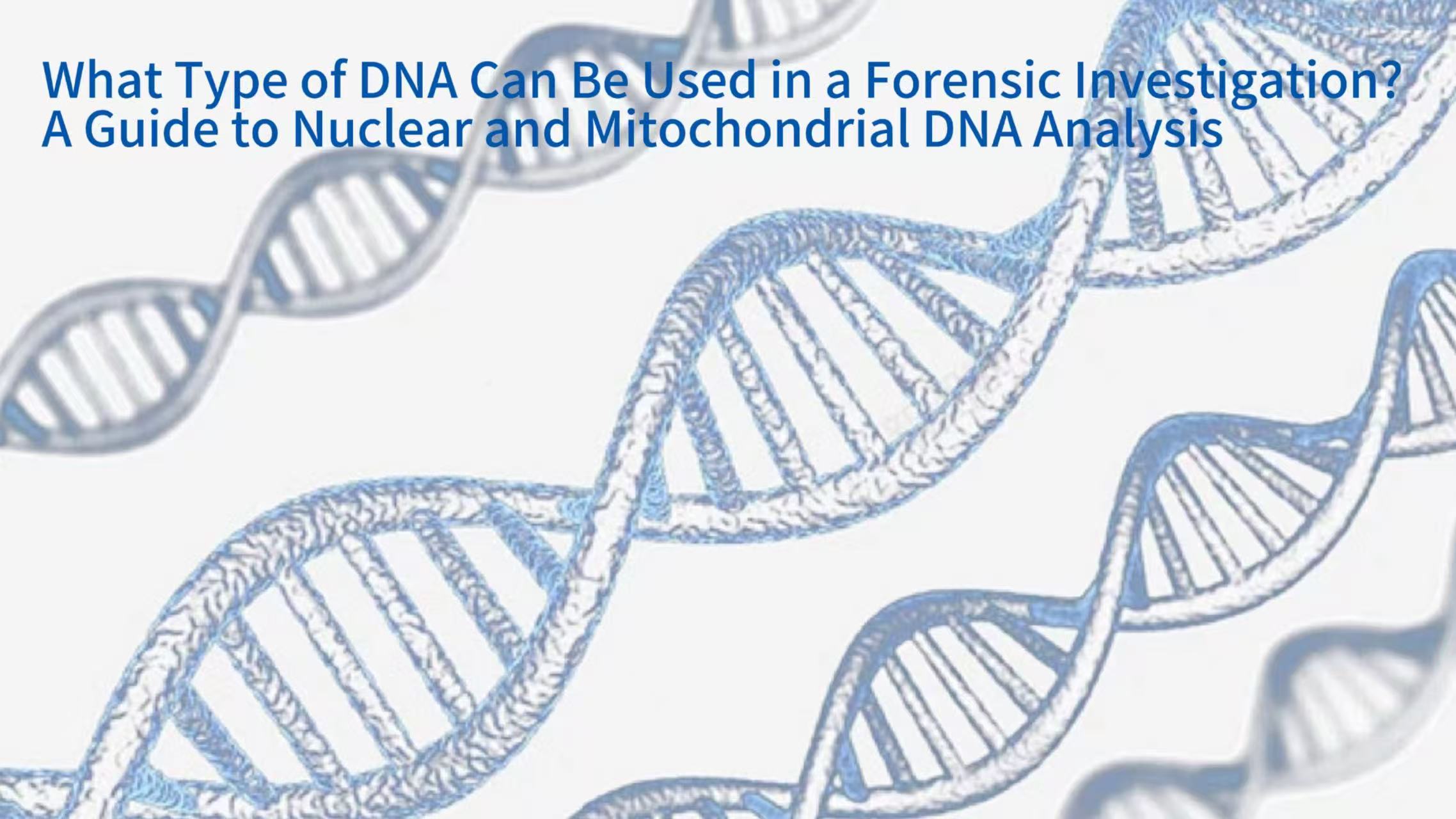 What Type of DNA Can Be Used in a Forensic Investigation? A Guide to Nuclear and Mitochondrial DNA Analysis