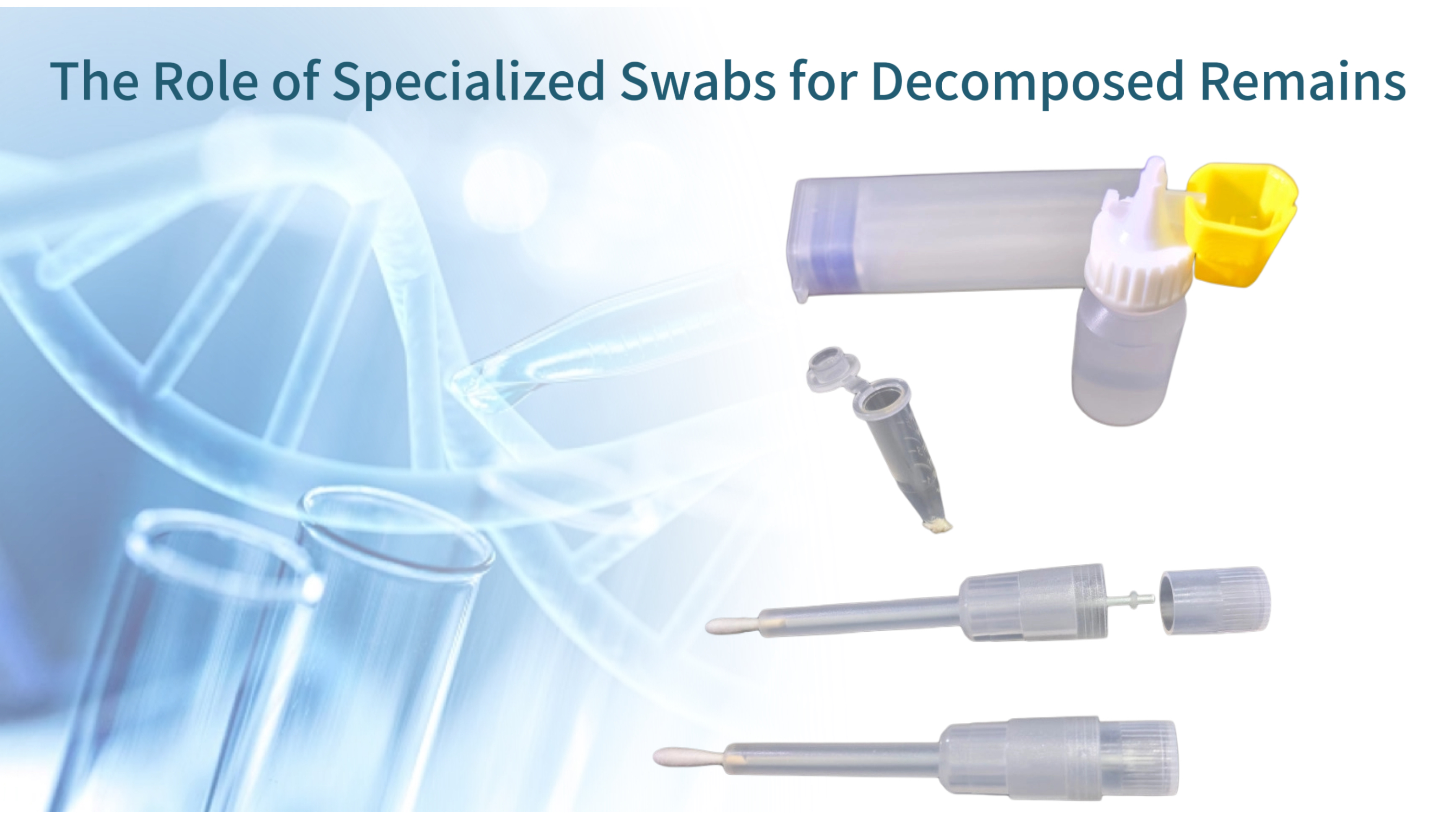 Forensic DNA Analysis in Challenging Conditions: The Role of Specialized Swabs for Decomposed Remains
